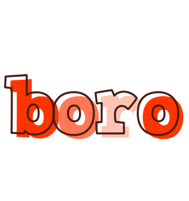 Boro paint logo