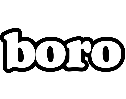 Boro panda logo