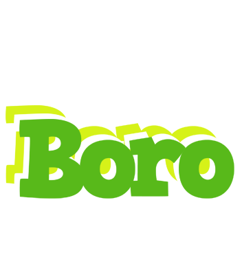Boro picnic logo