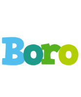 Boro rainbows logo