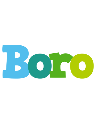 Boro rainbows logo