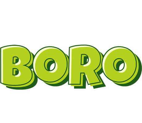 Boro summer logo