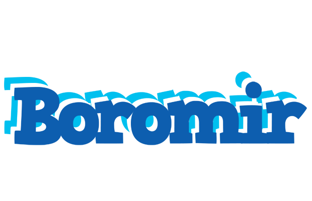 Boromir business logo