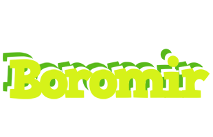 Boromir citrus logo