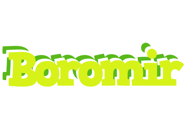 Boromir citrus logo