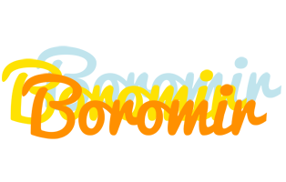 Boromir energy logo