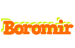Boromir healthy logo