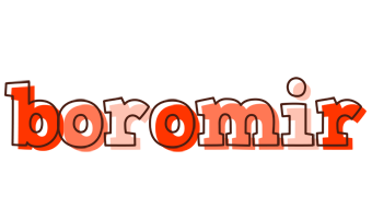 Boromir paint logo