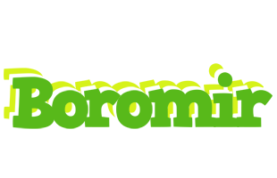 Boromir picnic logo