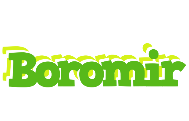 Boromir picnic logo