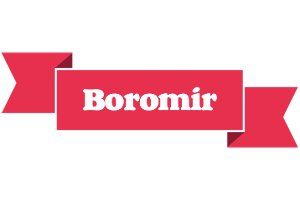 Boromir sale logo