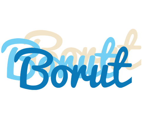Borut breeze logo
