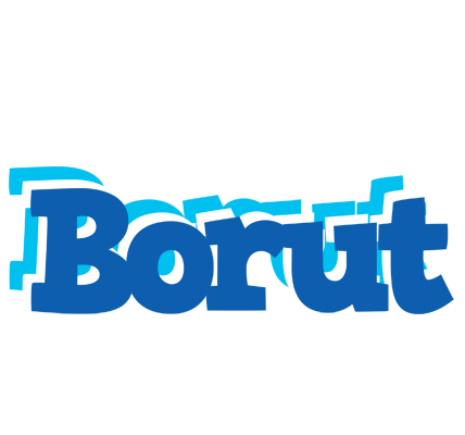 Borut business logo