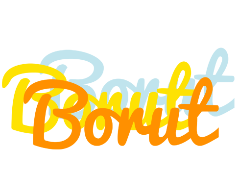 Borut energy logo