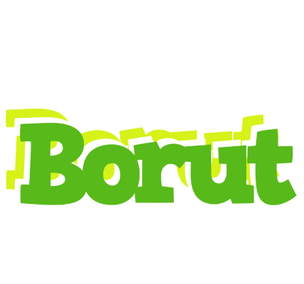 Borut picnic logo