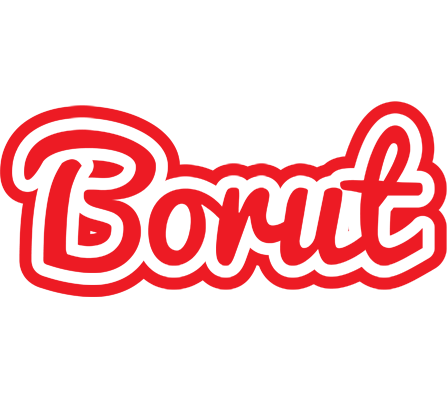 Borut sunshine logo