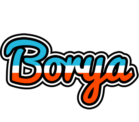 Borya america logo