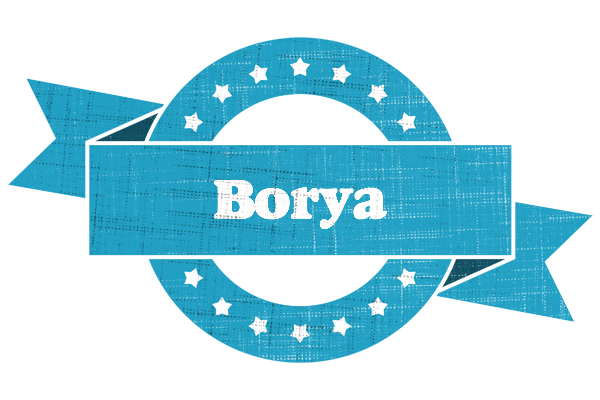 Borya balance logo