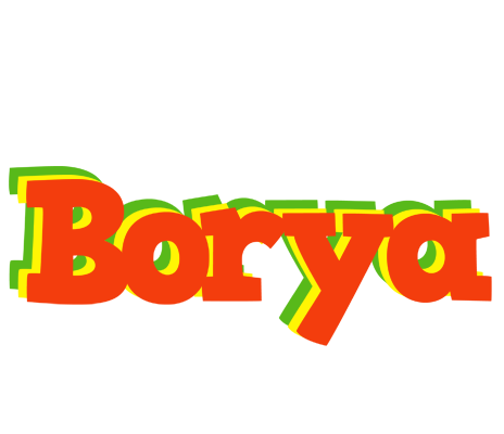 Borya bbq logo