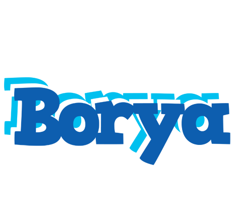 Borya business logo