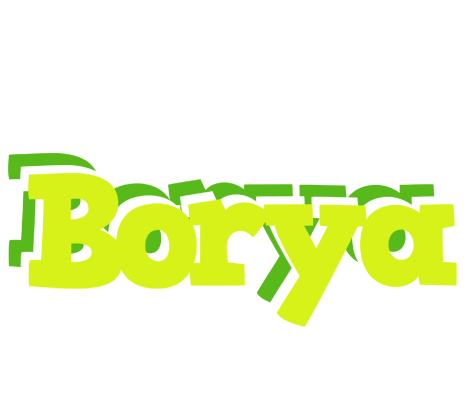 Borya citrus logo