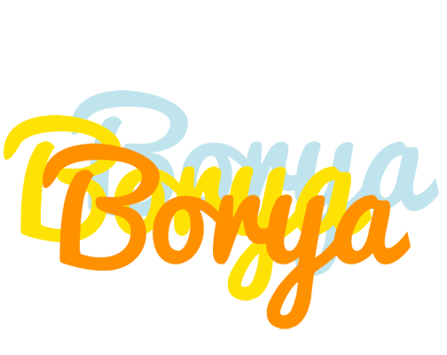 Borya energy logo
