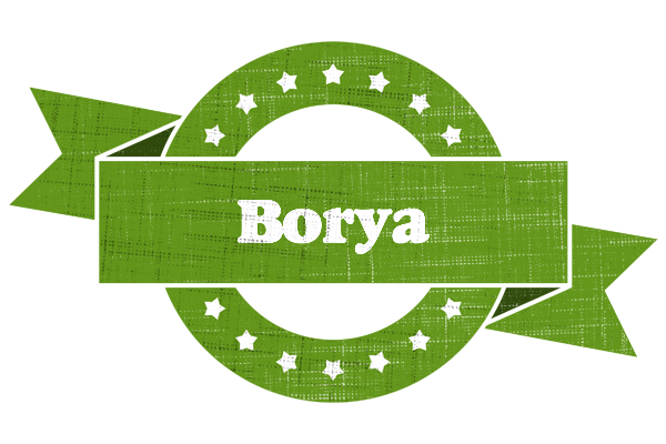 Borya natural logo