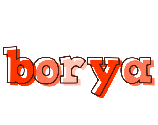 Borya paint logo