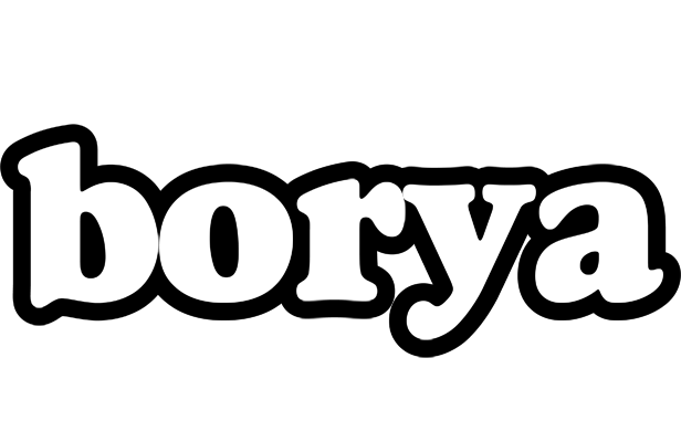 Borya panda logo