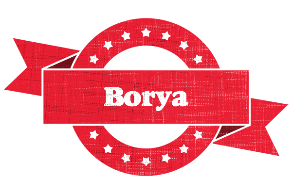 Borya passion logo