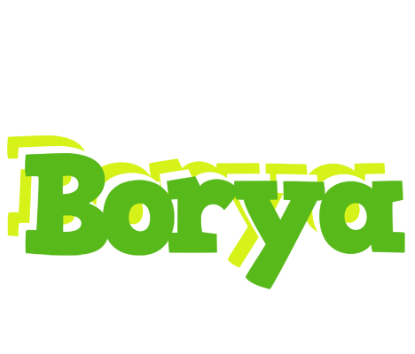 Borya picnic logo