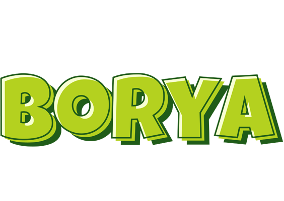 Borya summer logo