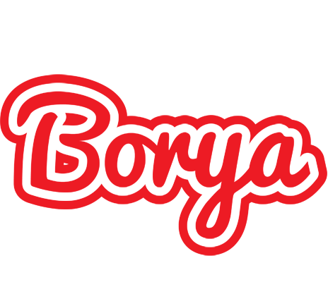Borya sunshine logo