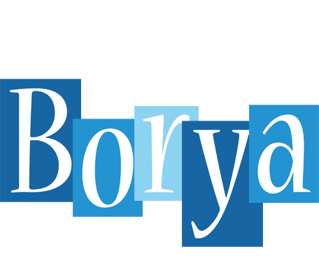 Borya winter logo