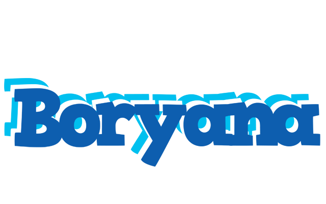 Boryana business logo