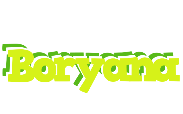 Boryana citrus logo