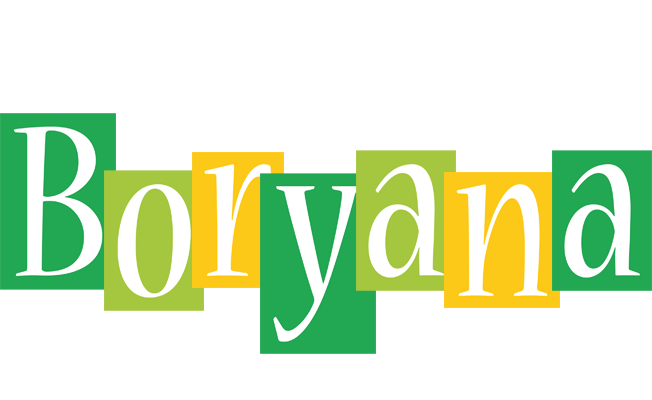 Boryana lemonade logo