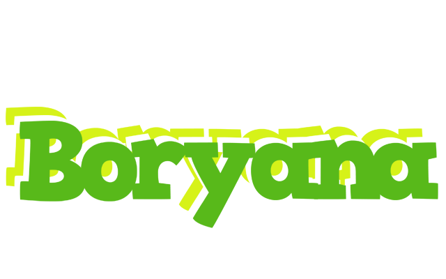 Boryana picnic logo
