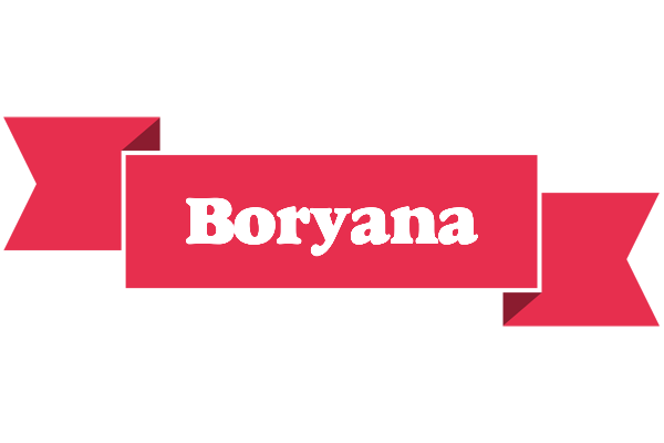 Boryana sale logo