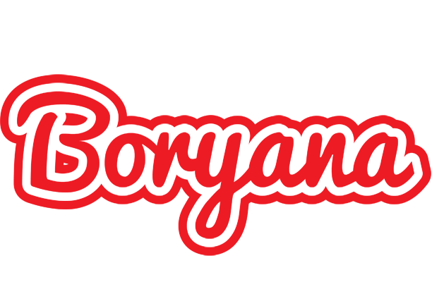 Boryana sunshine logo