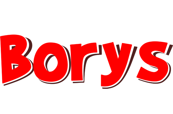 Borys basket logo