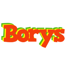 Borys bbq logo