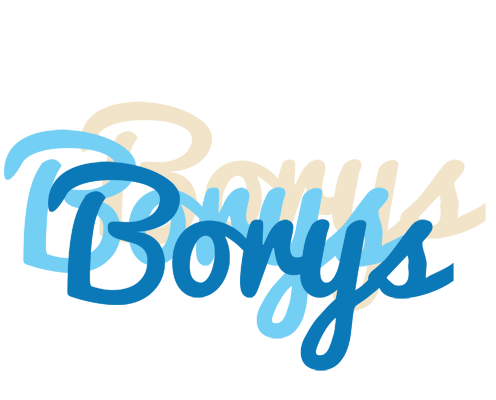 Borys breeze logo
