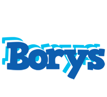 Borys business logo