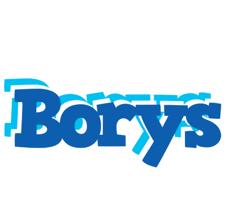 Borys business logo