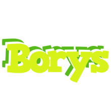 Borys citrus logo