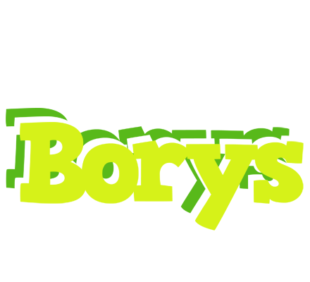 Borys citrus logo