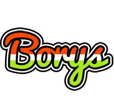 Borys exotic logo