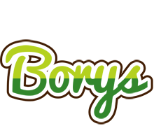 Borys golfing logo