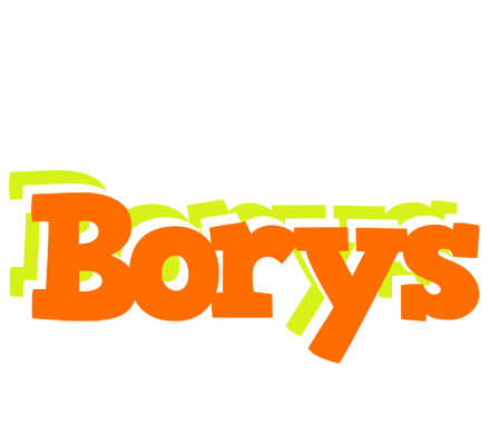 Borys healthy logo